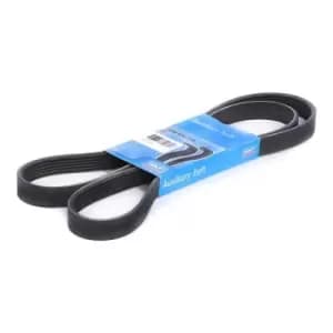 SKF V-ribbed belt VKMV 6PK1548 Serpentine belt,Auxiliary belt VW,BMW,SKODA,Golf IV Schragheck (1J1),Golf IV Variant (1J5),Bora Limousine (1J2)