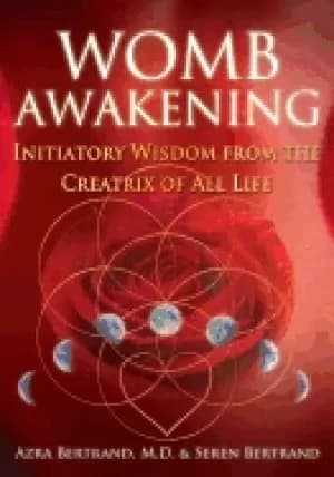 womb awakening initiatory wisdom from the creatrix of all life