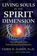 living souls in the spirit dimension the afterlife and transdimensional rea
