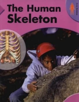 The Human Skeleton by Richard Walker Paperback