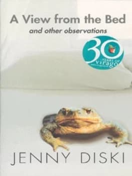 A View from the Bed by Jenny Diski Paperback