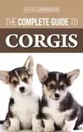 complete guide to corgis everything to know about both the pembroke welsh a