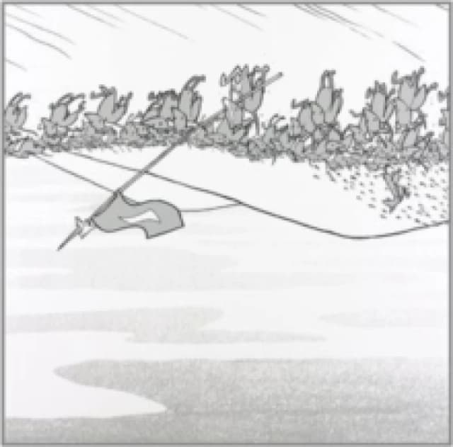 Excellent Italian Greyhound Vinyl