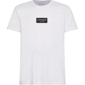 Calvin Klein Box Logo T Shirt - White