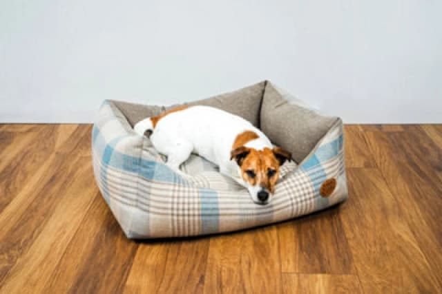 Snug & Cosy Pets Snug And Cosy Highland Bluebell Rectangle Bed 64Cm