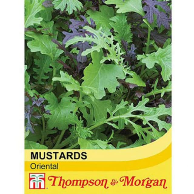 Thompson & Morgan Salad Leaves Oriental Mustards 1 Seed Packet