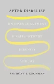 After Disbelief : On Disenchantment, Disappointment, Eternity, and Joy