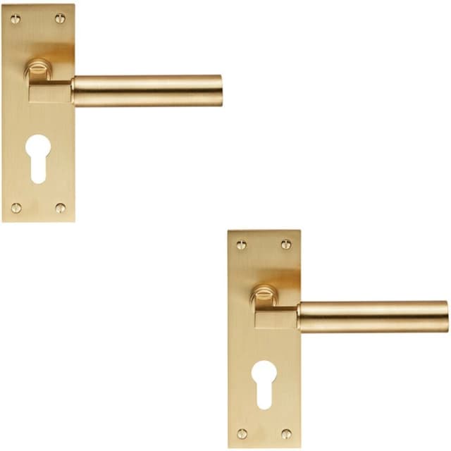 Loops 2x PAIR Round Bar Handle on Slim Euro Lock Backplate 150 x 50mm Satin Brass Metallics
