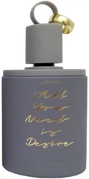 Armaf All You Need Is Desire Eau de Parfum For Him 100ml