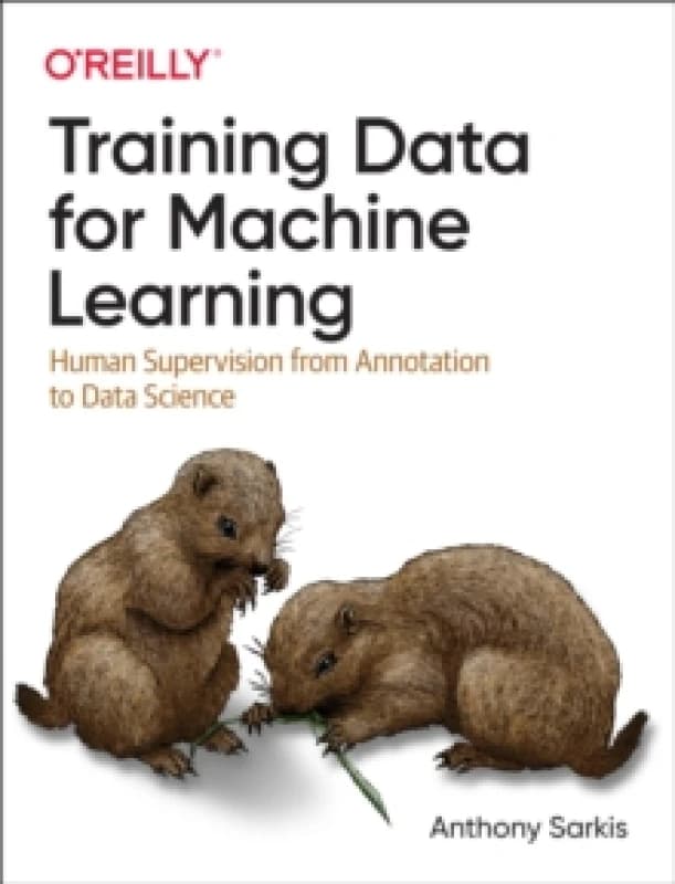 Training Data for Machine Learning Paperback / softback