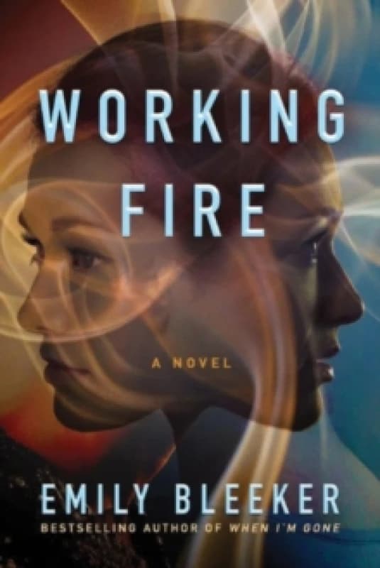 Working Fire : A Novel Paperback / softback