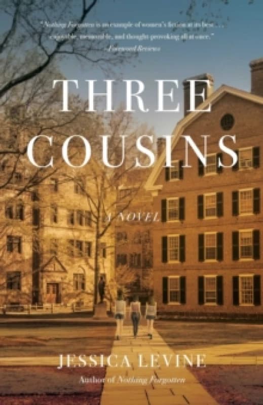 Three Cousins : A Novel Paperback / softback