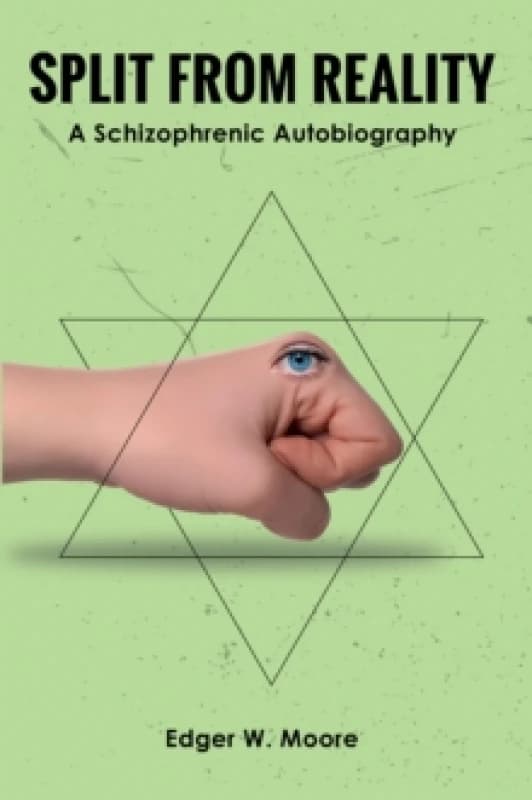 Split from Reality : A Schizophrenic Autobiography Paperback / softback
