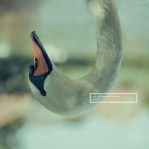 Coldharbourstores - Vesta Gold Vinyl