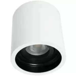 Netlighting Pelite Spot Surface Mounted Downlight Steel Brushed, Inside Black -