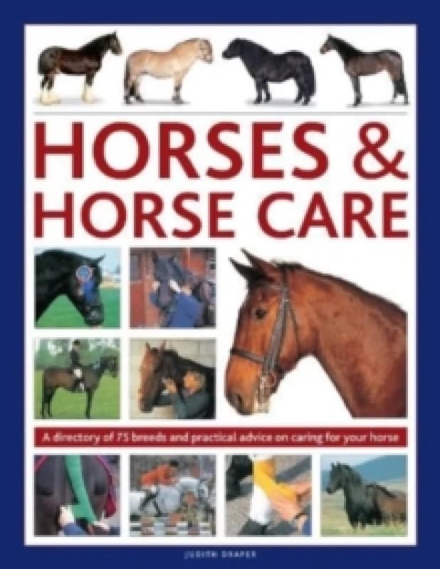 Horses & Horse Care. Hardback. By Judith Draper, Sarah Muir, Debby Sly Books