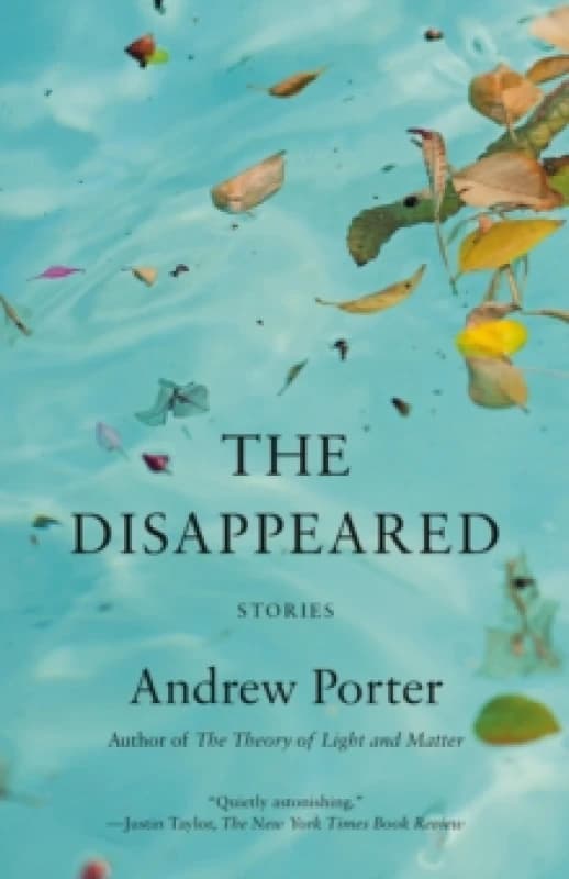 Disappeared, The. Paperback. By Andrew Porter Books