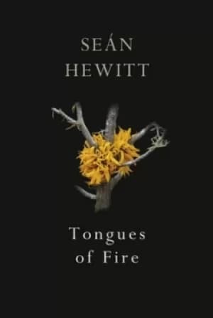 Tongues of fire by Sen Hewitt