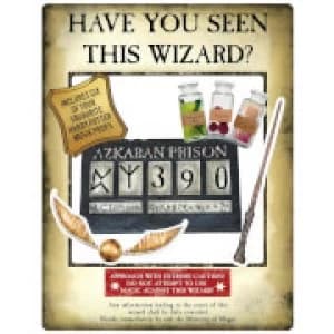 Harry Potter Gold Wanted Selfie Frame Poster with Props