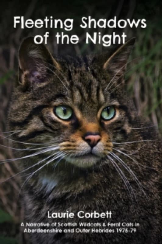 Fleeting Shadows of the Night. Paperback. By Laurie Corbett Books