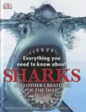 everything you need to know about sharks