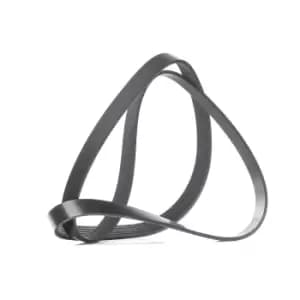 RIDEX V-ribbed belt VW,OPEL,CHEVROLET 305P0421 55577157,55578115,55578813 55578814,1340019,1340055,55578115,55578813,1340019,1340055,55578115,55578813