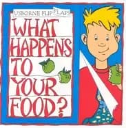 what happens to your food