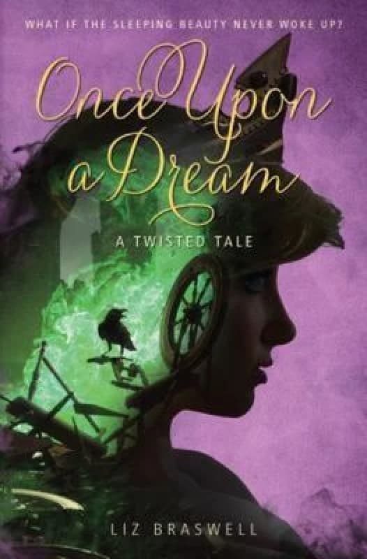 Once upon a Dream by Liz Braswell Hardback