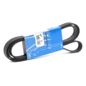 SKF V-ribbed belt VKMV 6PK1836 Serpentine belt,Auxiliary belt BMW,FIAT,ALFA ROMEO,3 Touring (E91),3 Limousine (E90),1 Schragheck (E87),3 Coupe (E92)
