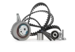 INA Timing belt kit 530 0650 10 Timing belt set,Cam belt kit VW,AUDI,SKODA,Golf VII Schragheck (5G1, BQ1, BE1, BE2),TIGUAN (5N_)