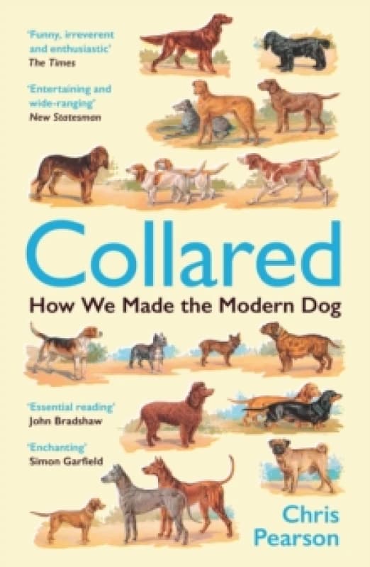 Collared : How We Made the Modern Dog Paperback / softback