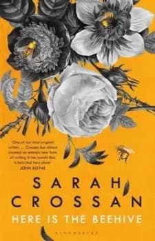Here is the beehive by Sarah Crossan