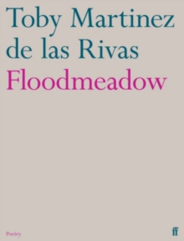 Floodmeadow. Paperback. By Toby Martinez De las Rivas Books