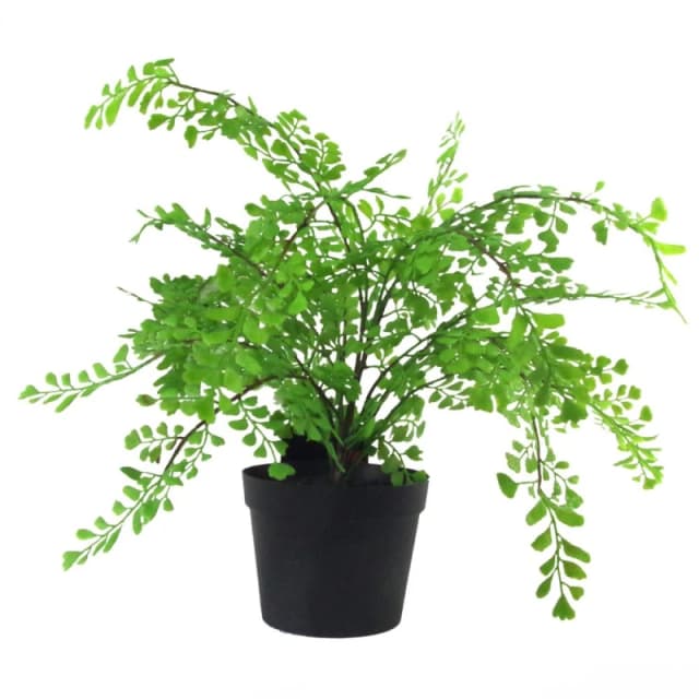 Leaf Artificial Fern Plant Pot Maidenhair Fern 35cm Leaf Design UK Realistic Plant Botanik Green