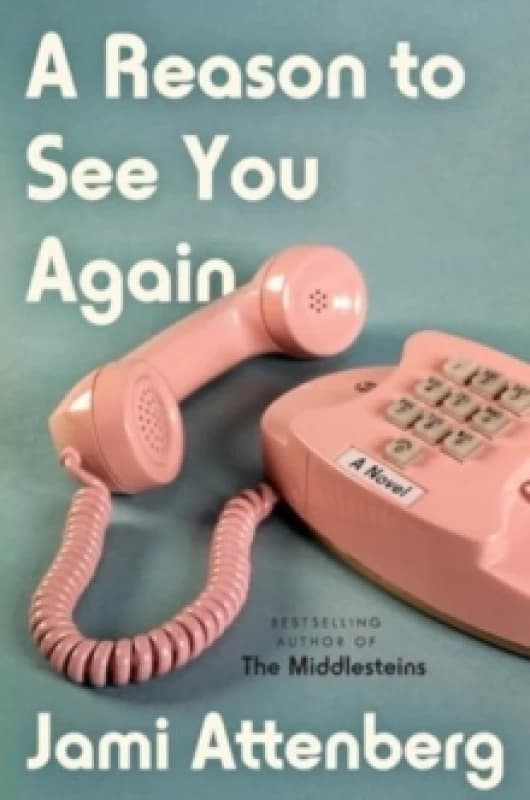 A Reason to See You Again. Hardback. By Jami Attenberg Books