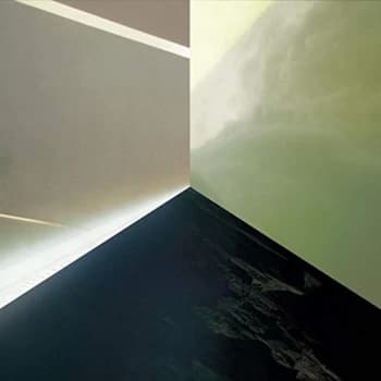 Next Life - Artificial Divinity Vinyl