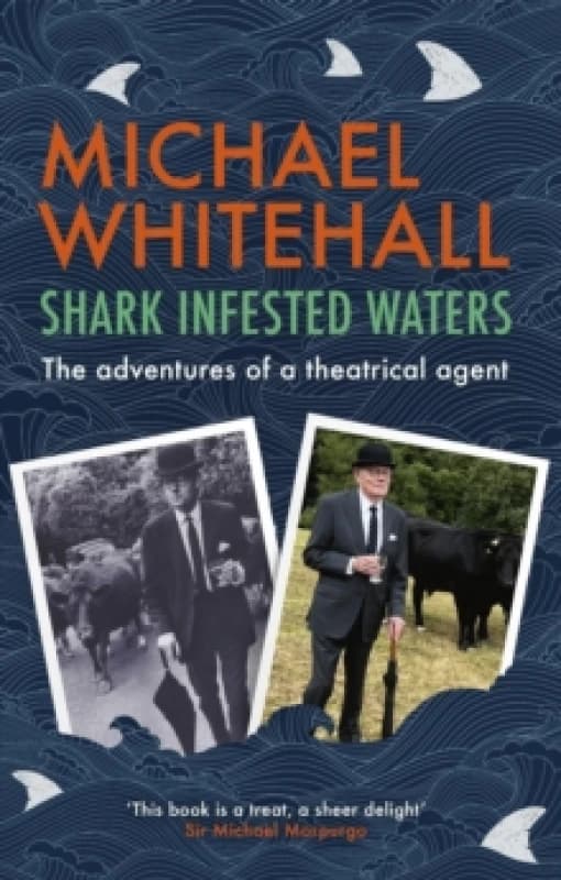 Shark-Infested Waters Paperback / softback