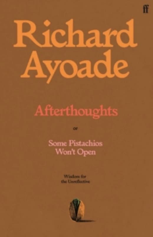 Afterthoughts. Hardback. By Richard Ayoade Books