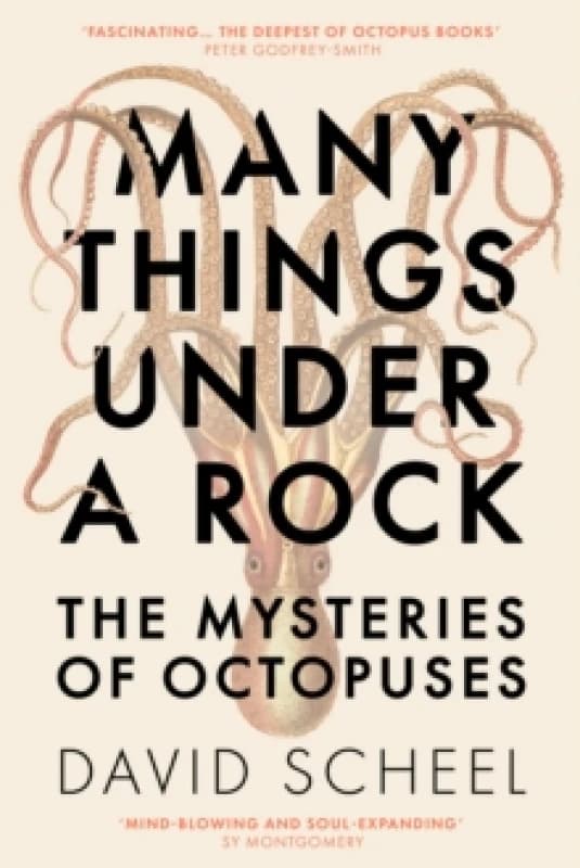 Many Things Under a Rock : The mind-blowing book that reveals the mysteries of the octopus, perfect for all science enthusiasts and fans of David Atte