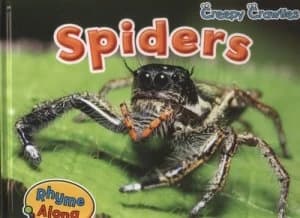 Spiders by Sian Smith Hardback