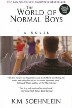 The World of Normal Boys by K.M. Soehnlein Book