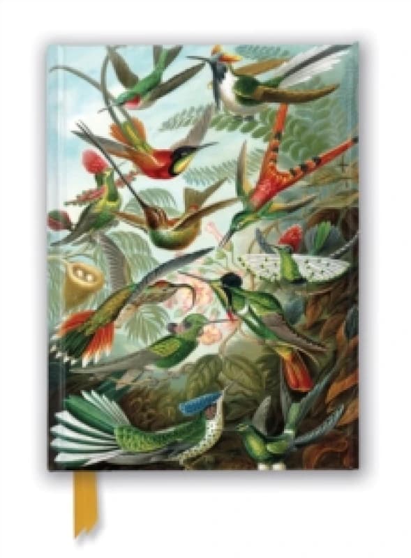 Ernst Haeckel: Hummingbirds (Foiled Journal) Notebook / blank book
