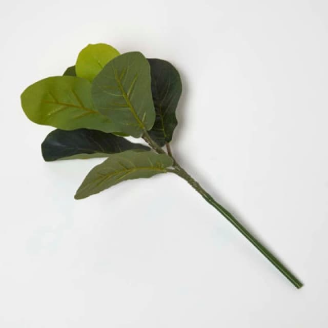 Homescapes Artificial Ficus Branch, 46cm Green