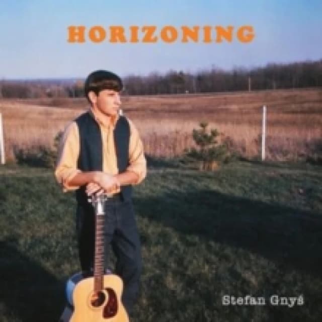 Horizoning Vinyl