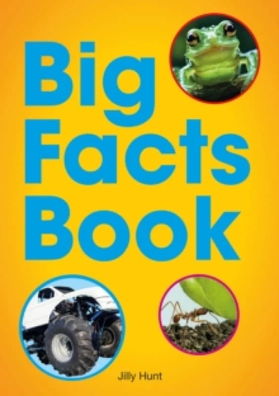 Big Facts Book (Set 07) Paperback / softback