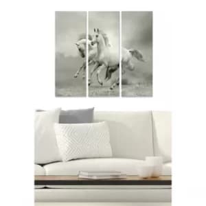 MDF99820919 Multicolor Decorative MDF Painting (3 Pieces)