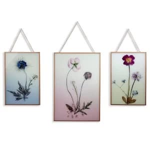 Arthouse Wildflowers Wall Art - Set of 3