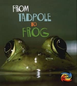 From Tadpole to Frog by Anita Ganeri Book