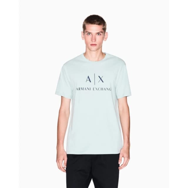 Armani Exchange Logo T-Shirt Aqua Grey male S