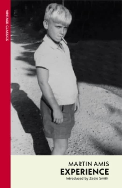 Experience Paperback / softback